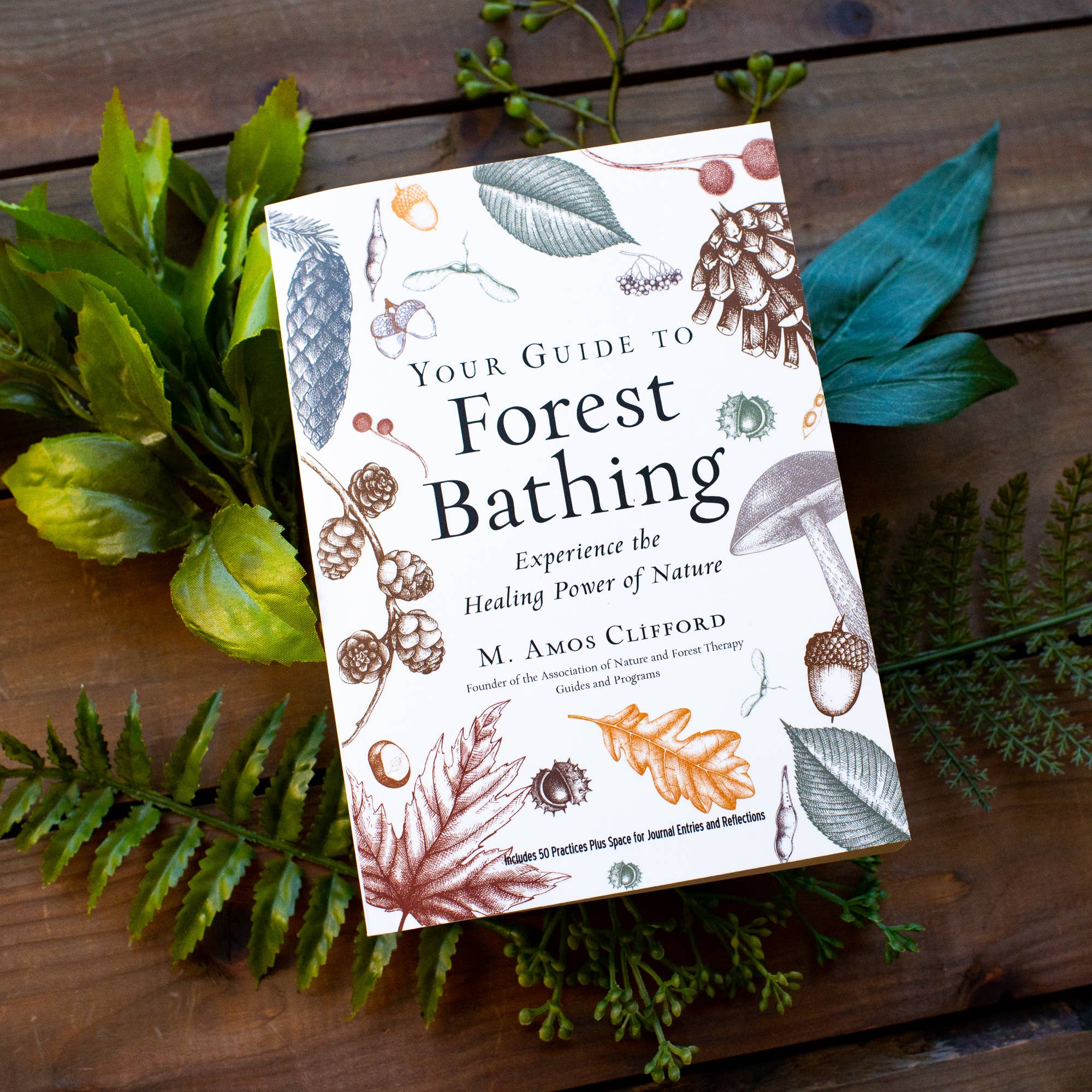 Book titled 'Your Guide to Forest Bathing' surrounded by nature-themed illustrations on a wooden surface.