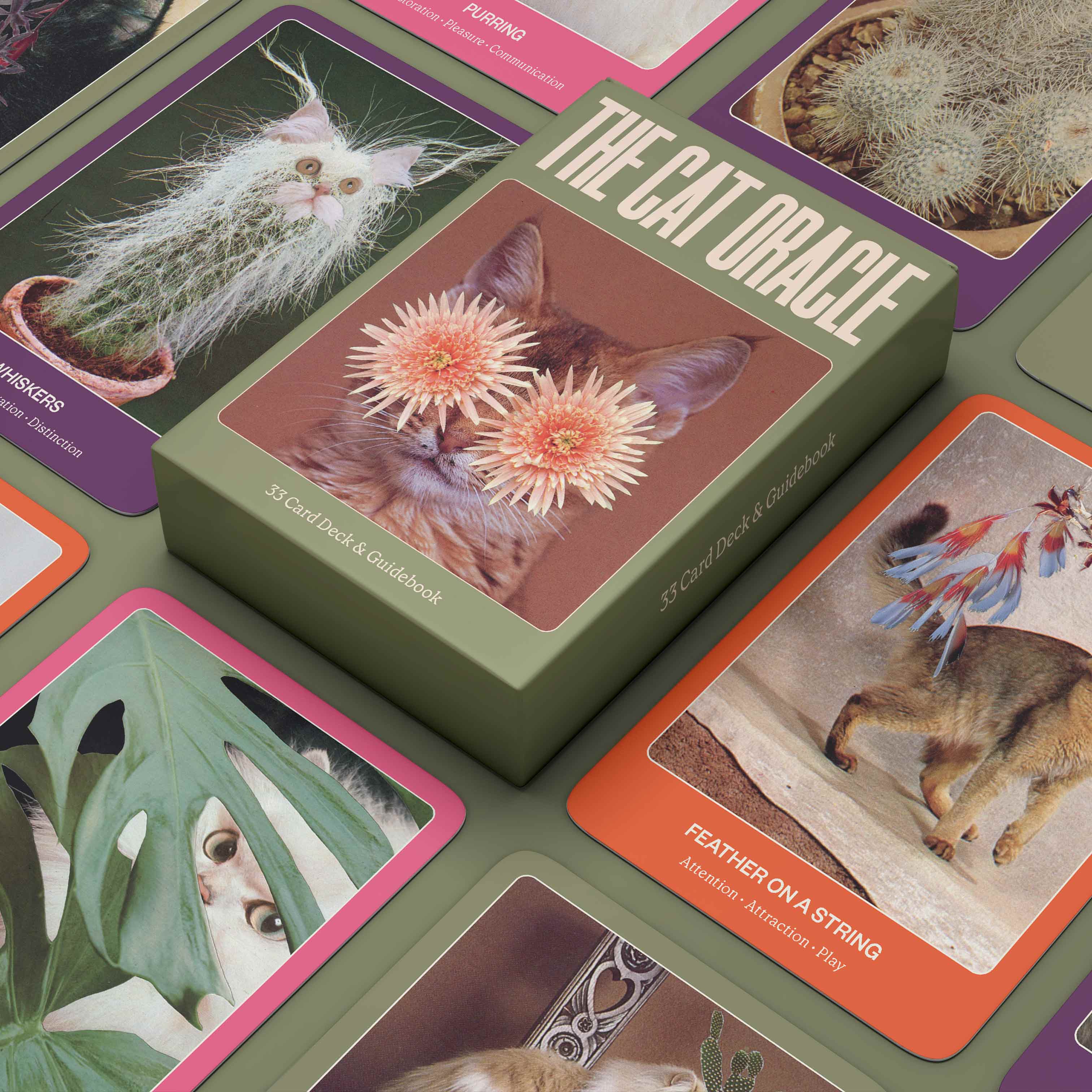 Cat-themed oracle cards with images of cats and plants on a green card box.