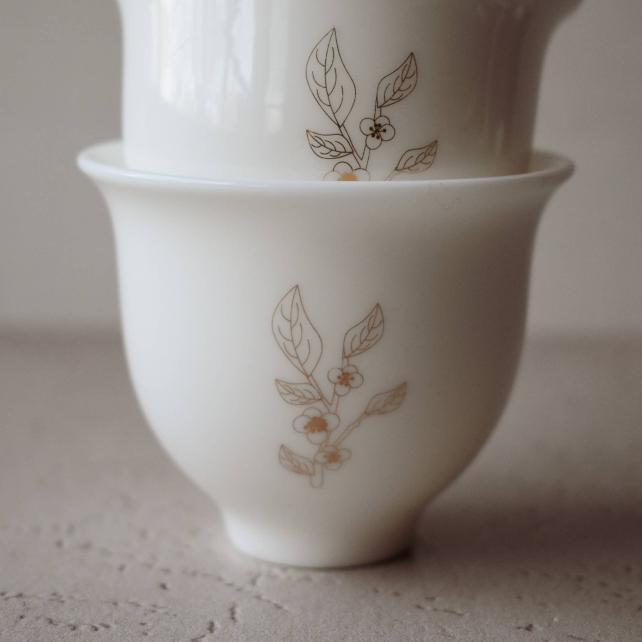 Camellia Sinensis Tea Cup