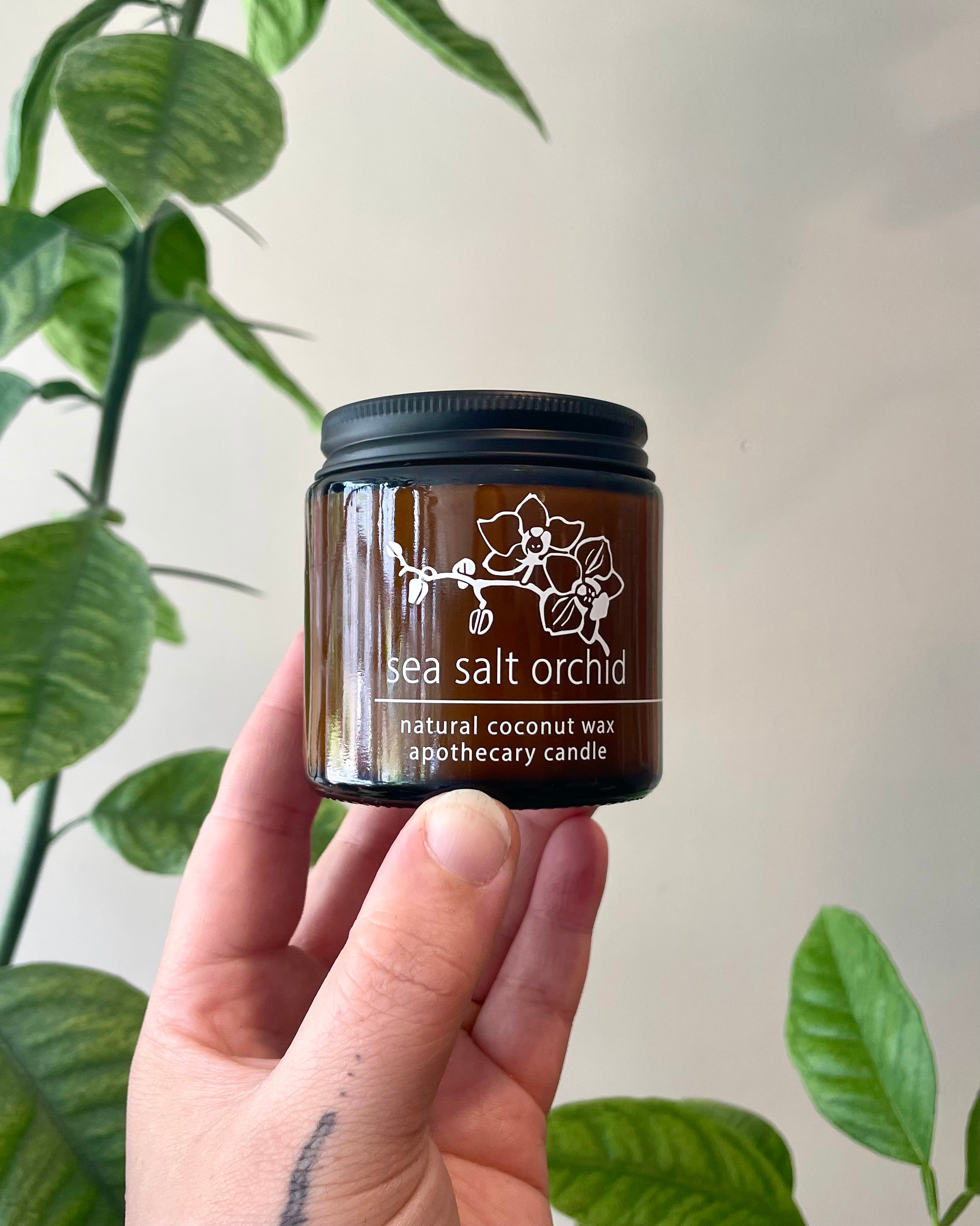 Hand holding an amber glass jar candle with a plant in the background