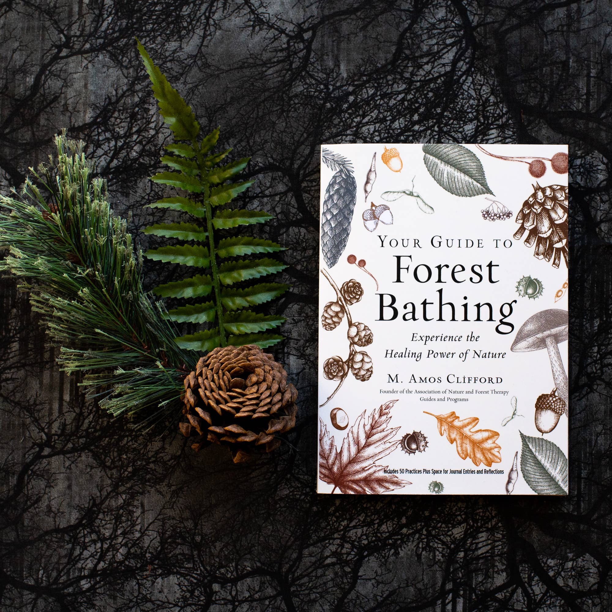 Book titled 'Your Guide to Forest Bathing' with natural elements on a dark forest background