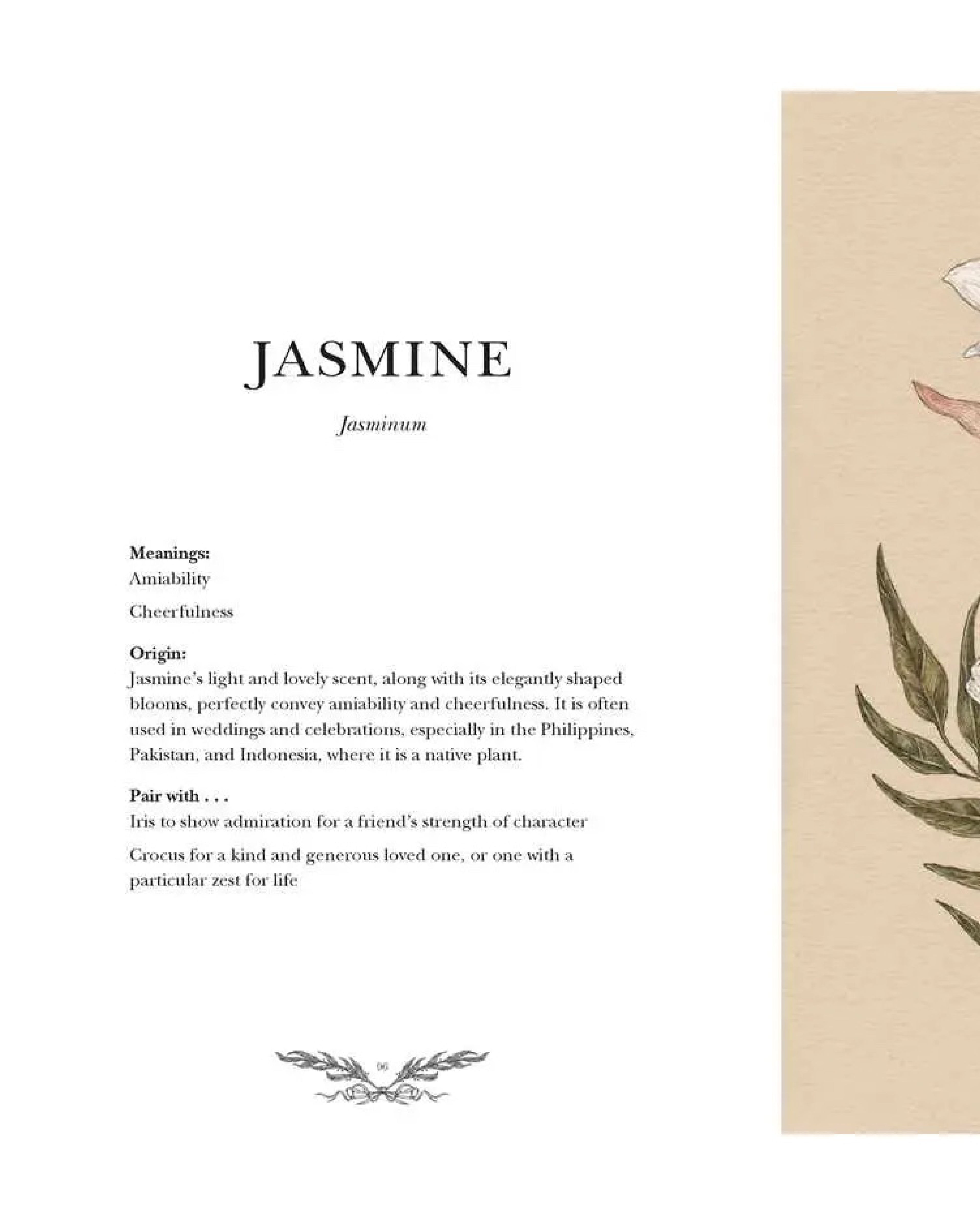 Card with text about the meaning and symbolism of jasmine, featuring a floral design on a beige background.