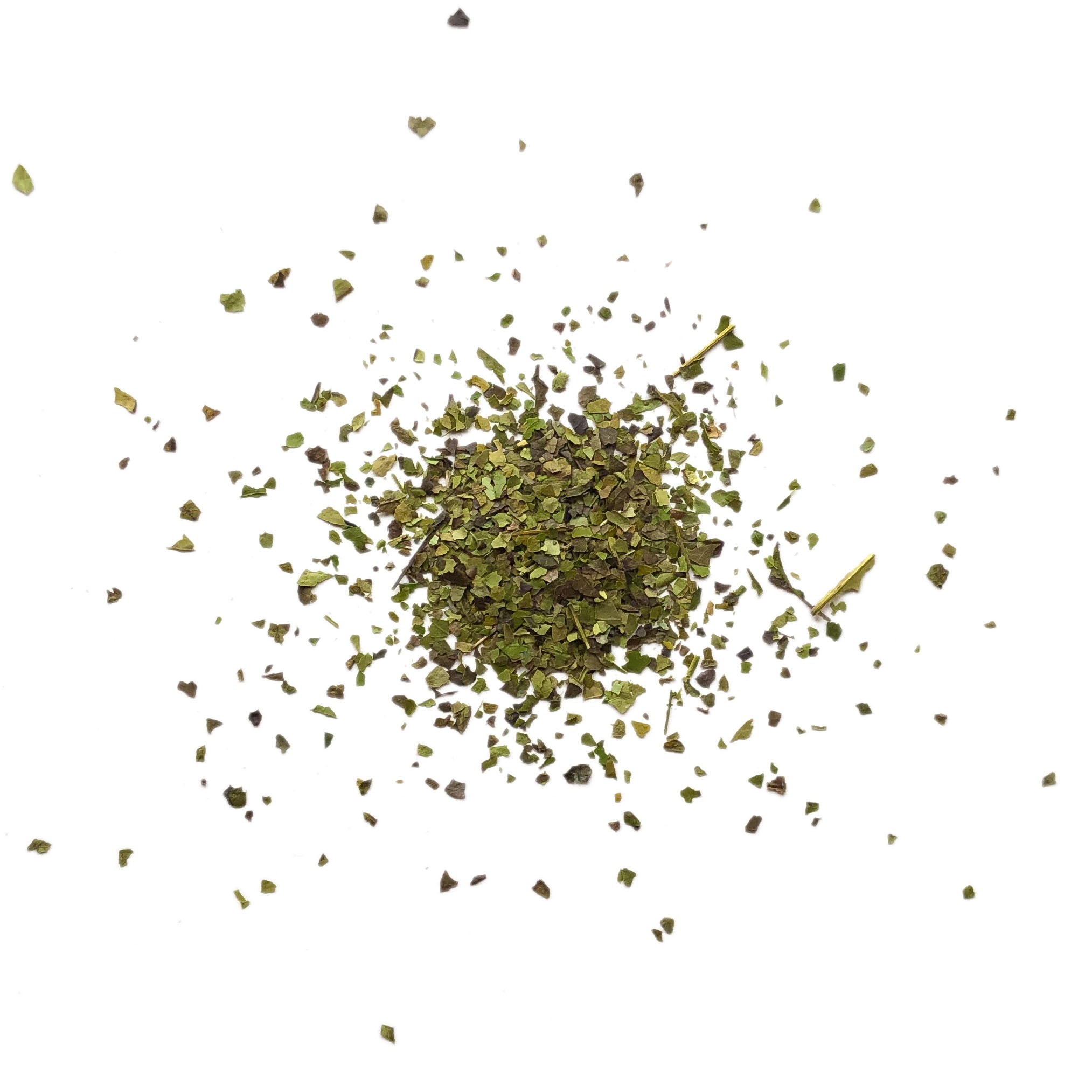 Dried green herbs scattered on a white background