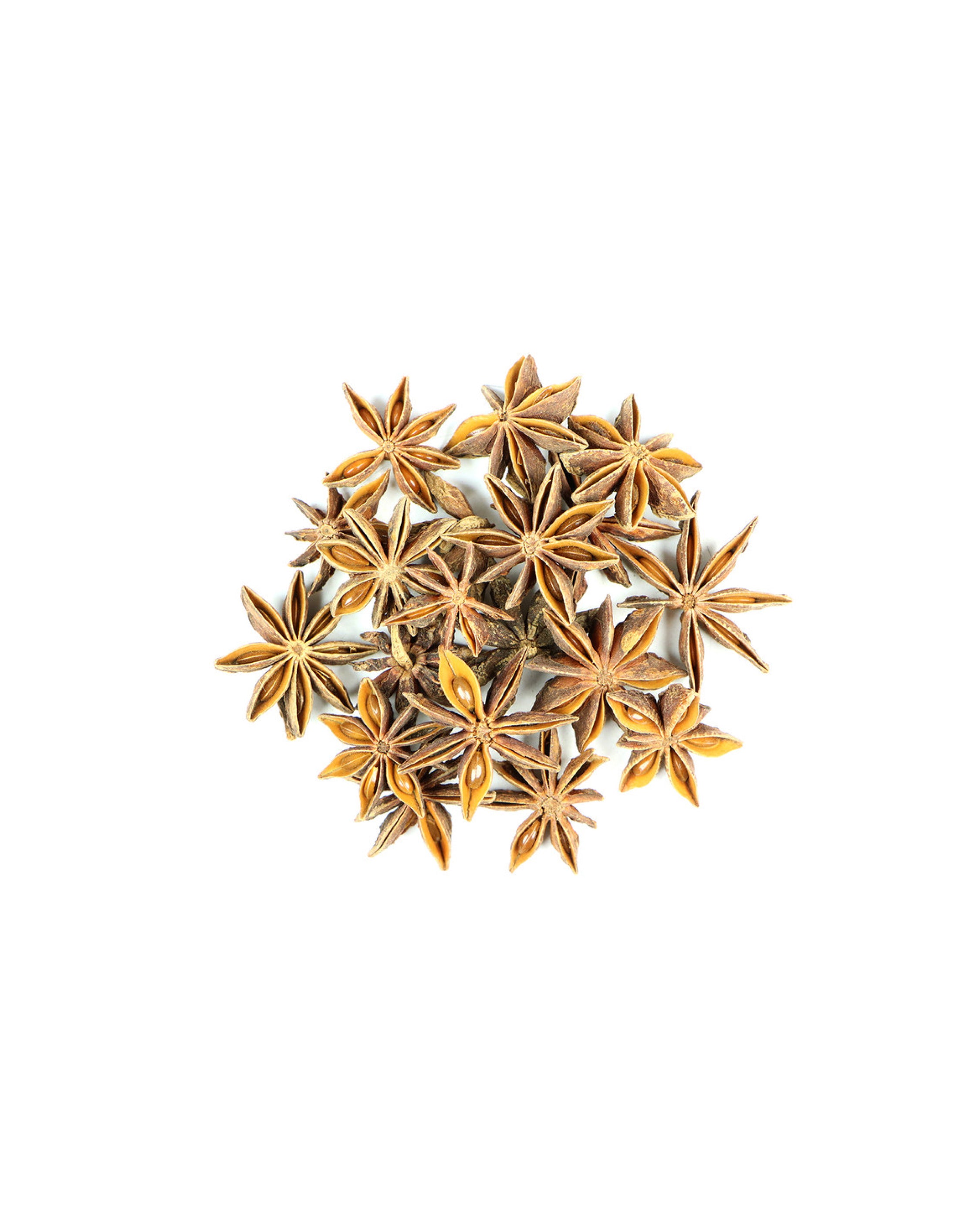 Star anise pods on a white background