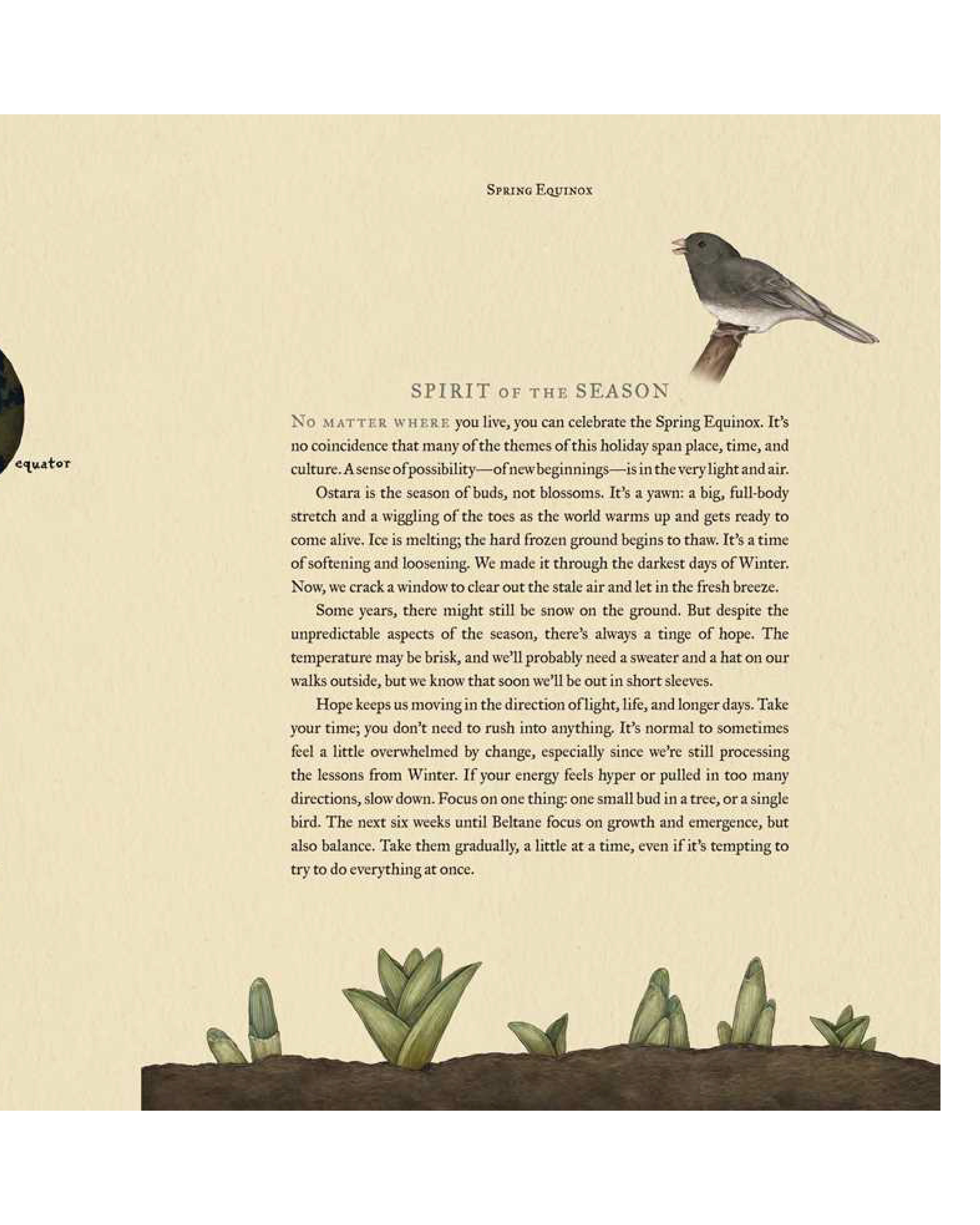 Text on a beige background with a bird illustration and plant graphics.