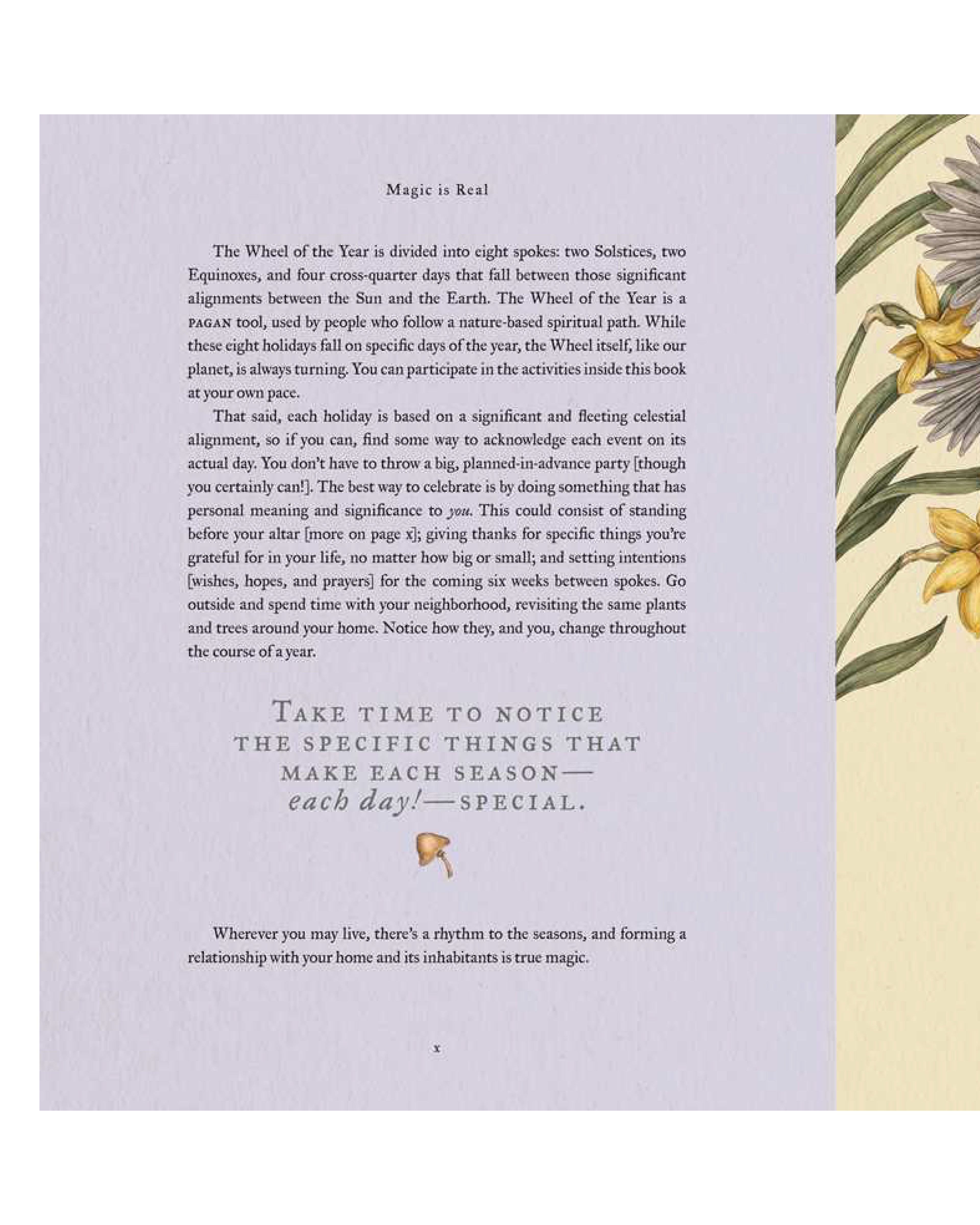 Text on a purple background with botanical illustrations of flowers.