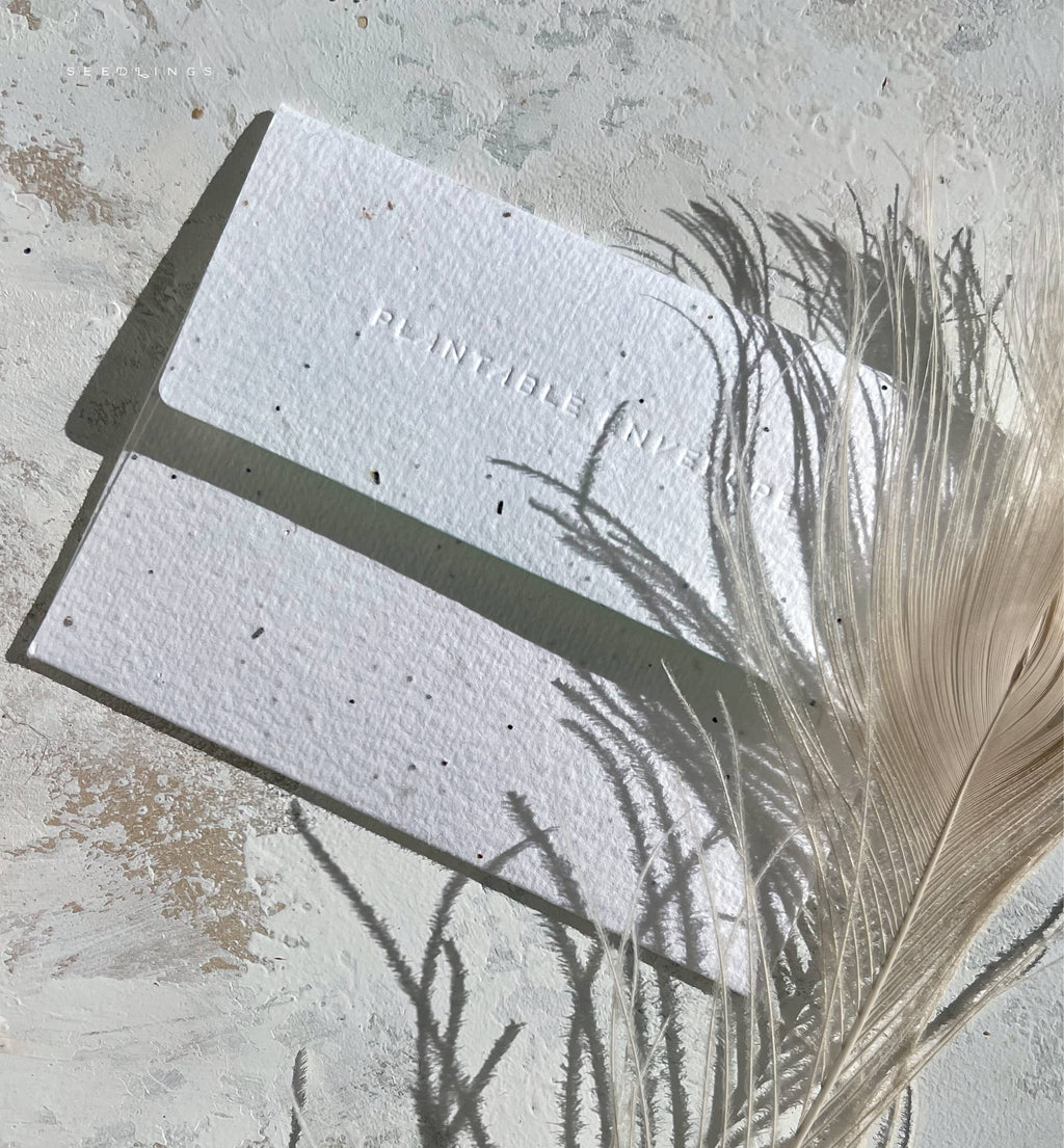 Plantable card with seeds on a textured surface with a feather