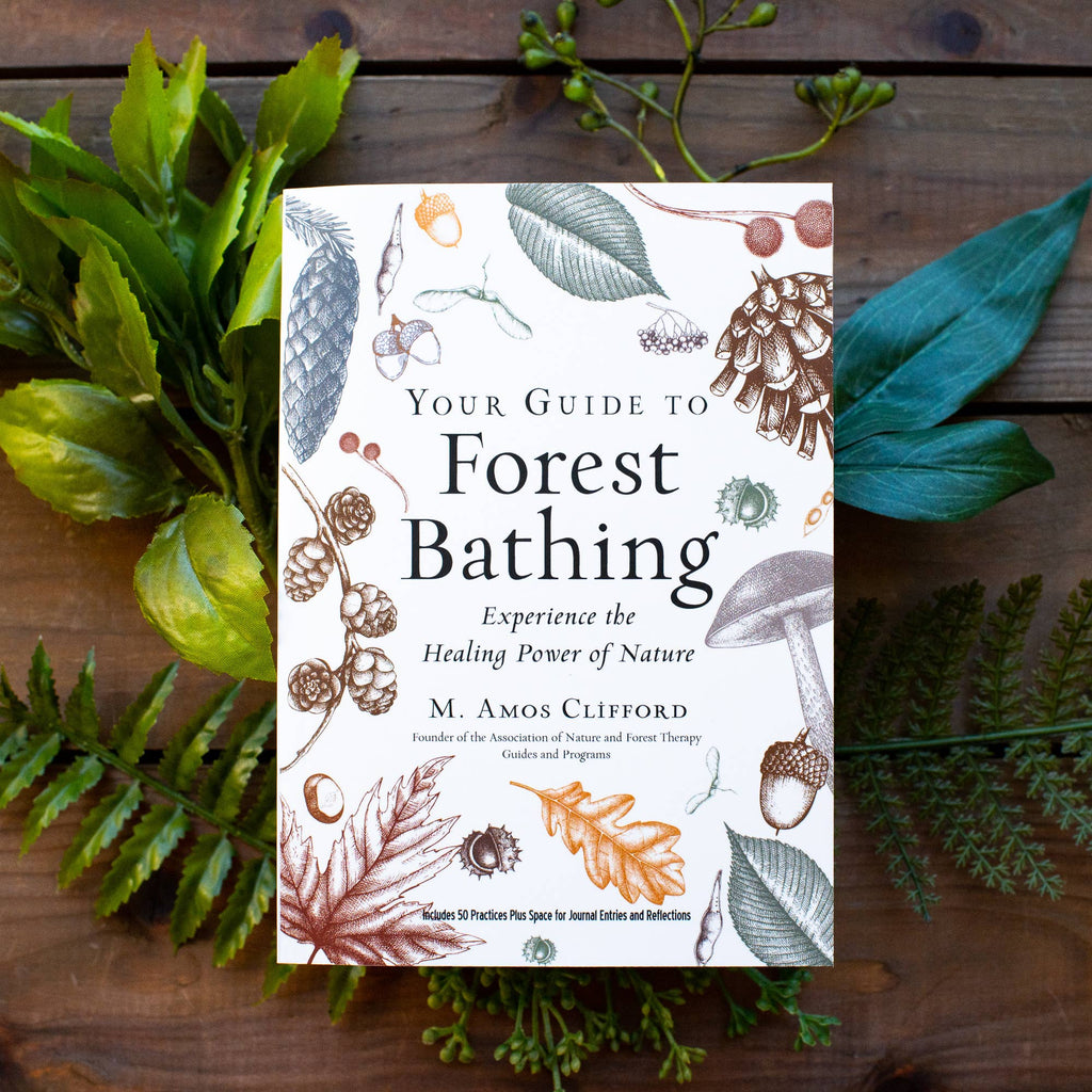 Book titled 'Your Guide to Forest Bathing' surrounded by leaves on a wooden surface