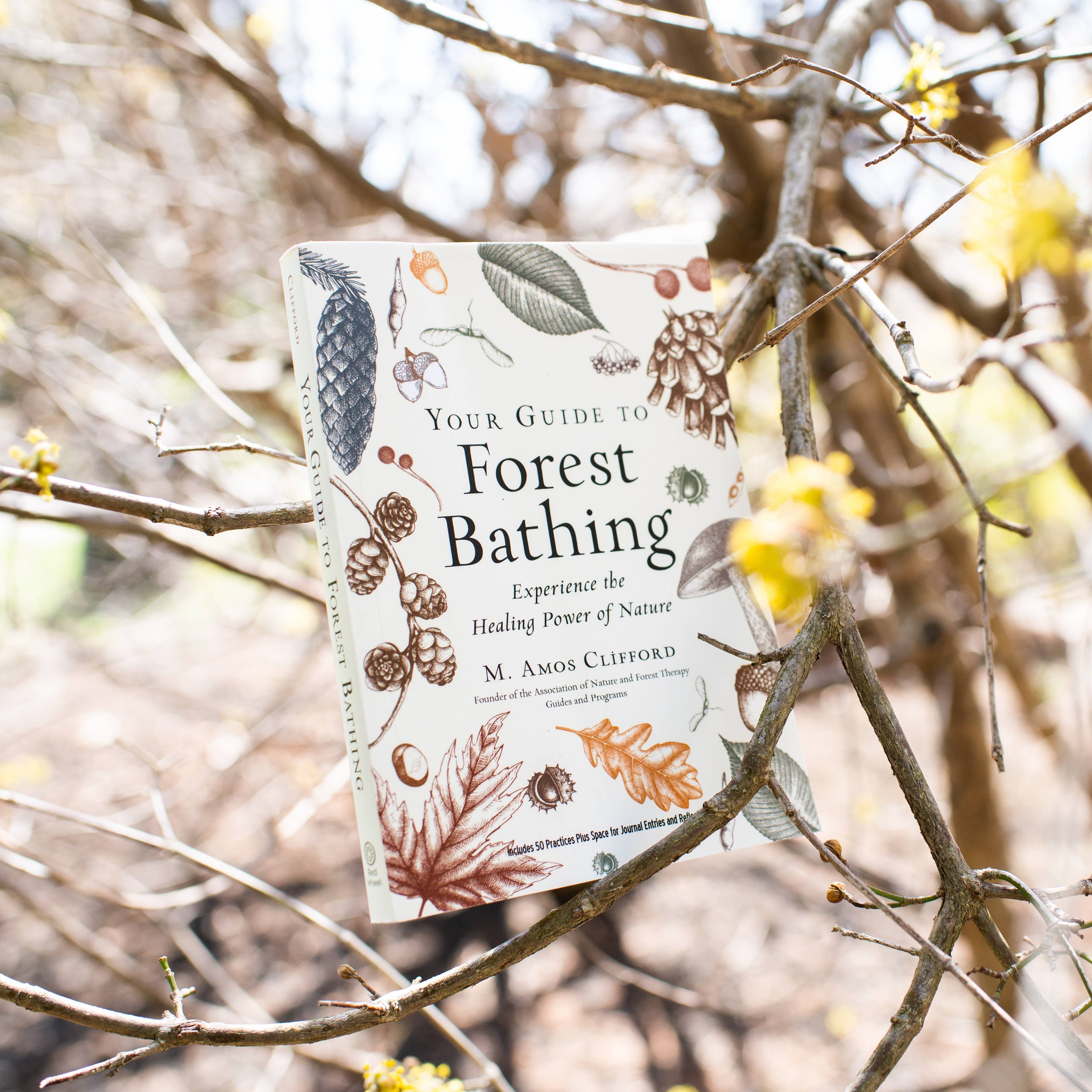 Book titled 'Your Guide to Forest Bathing' hanging on a tree branch with a natural background.