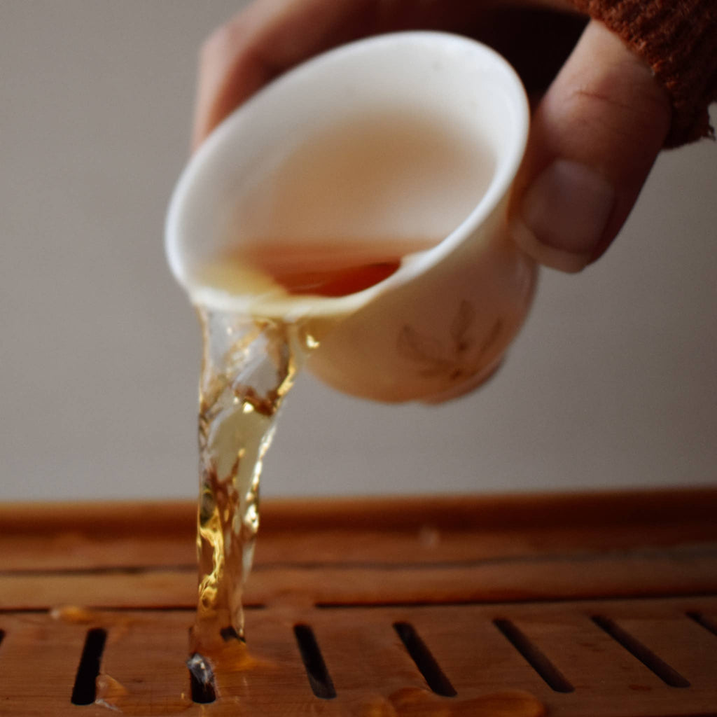 Camellia Sinensis Tea Cup