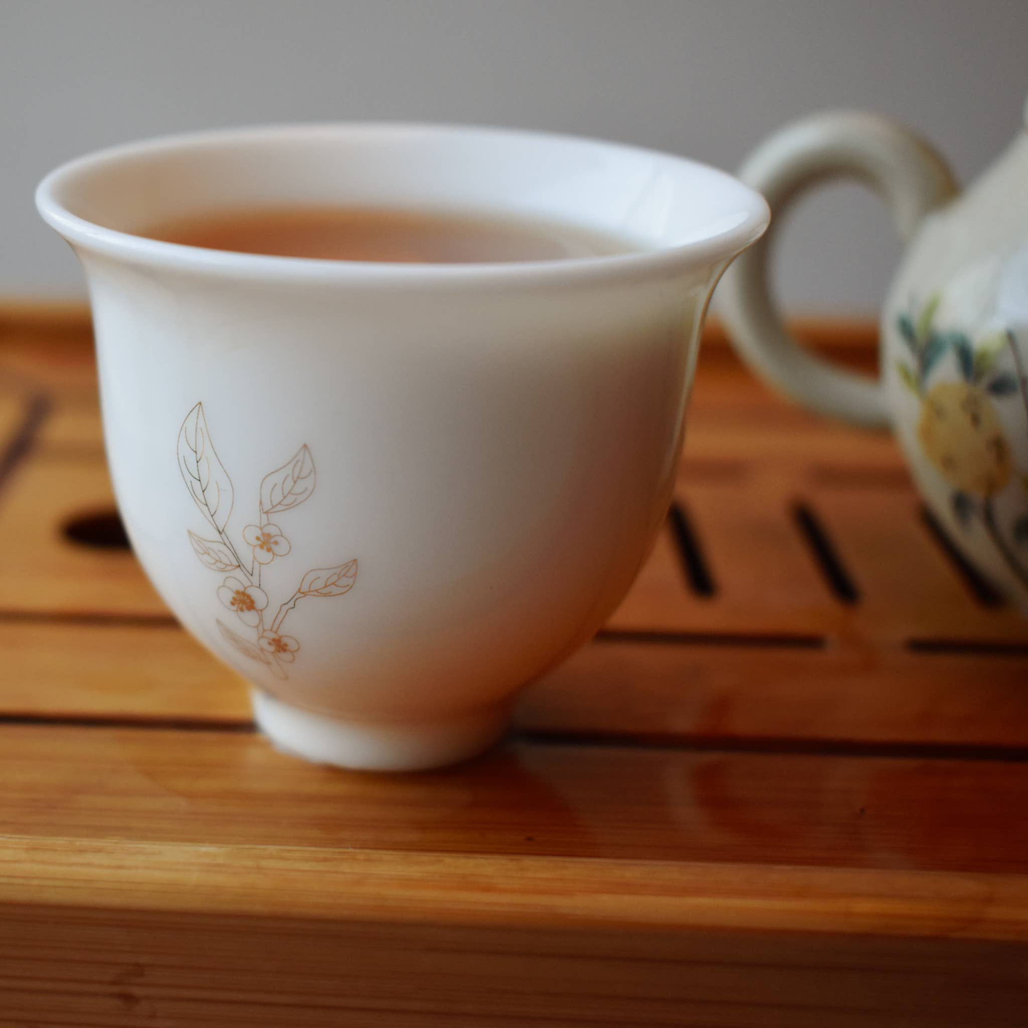 Camellia Sinensis Tea Cup