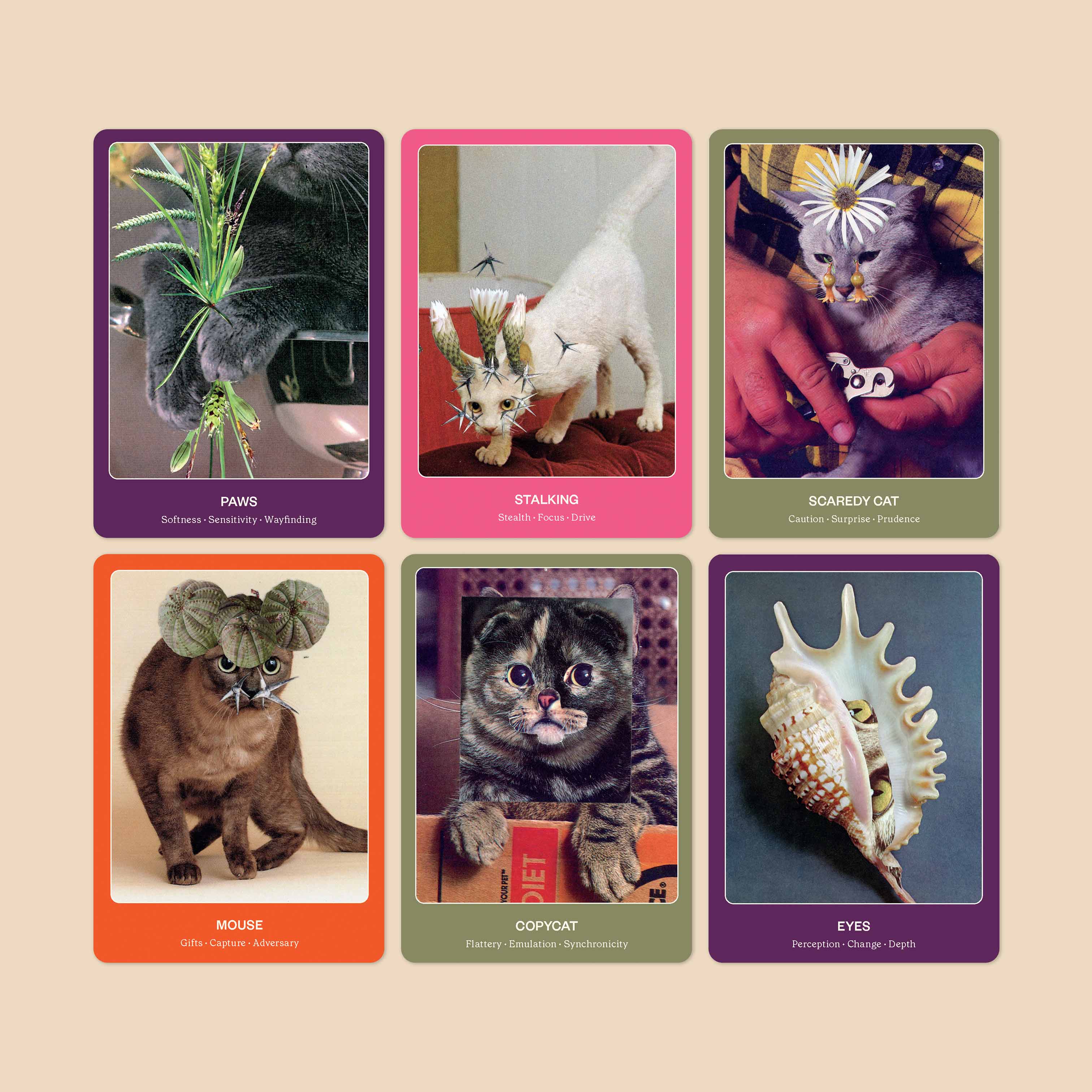 Six card-style images of cats with descriptive text on a beige background