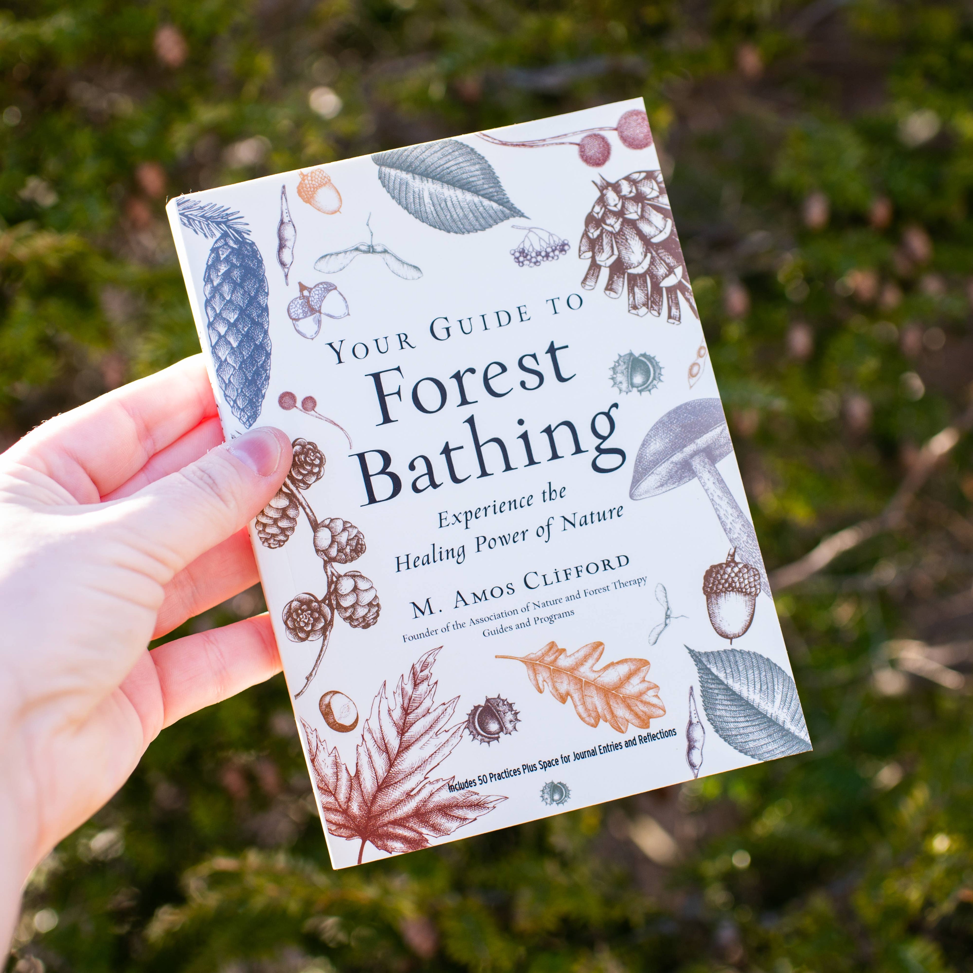 Book titled 'Your Guide to Forest Bathing' held in front of a forest background