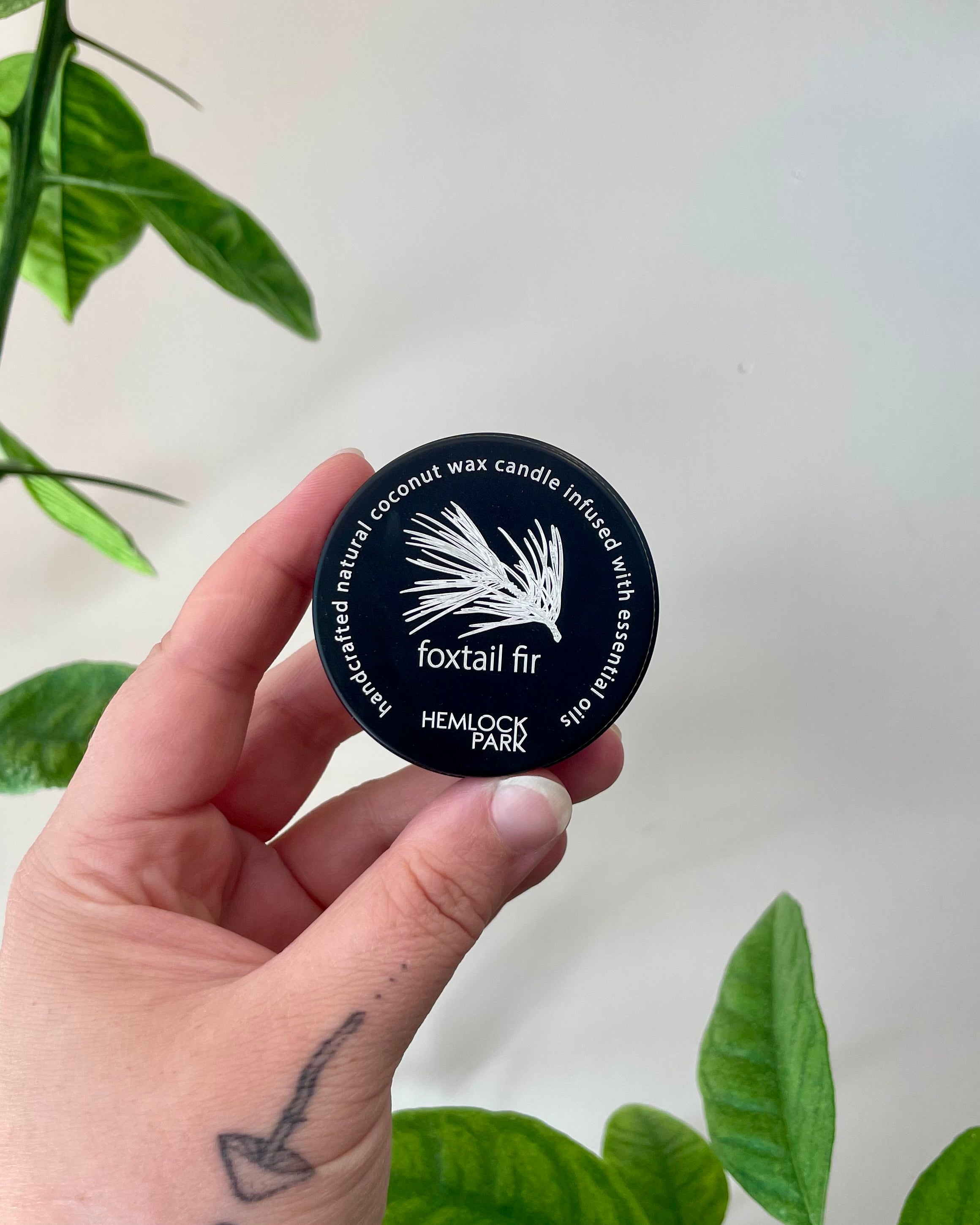 Hand holding a black candle container labeled 'foxtail fir' with green leaves in the background