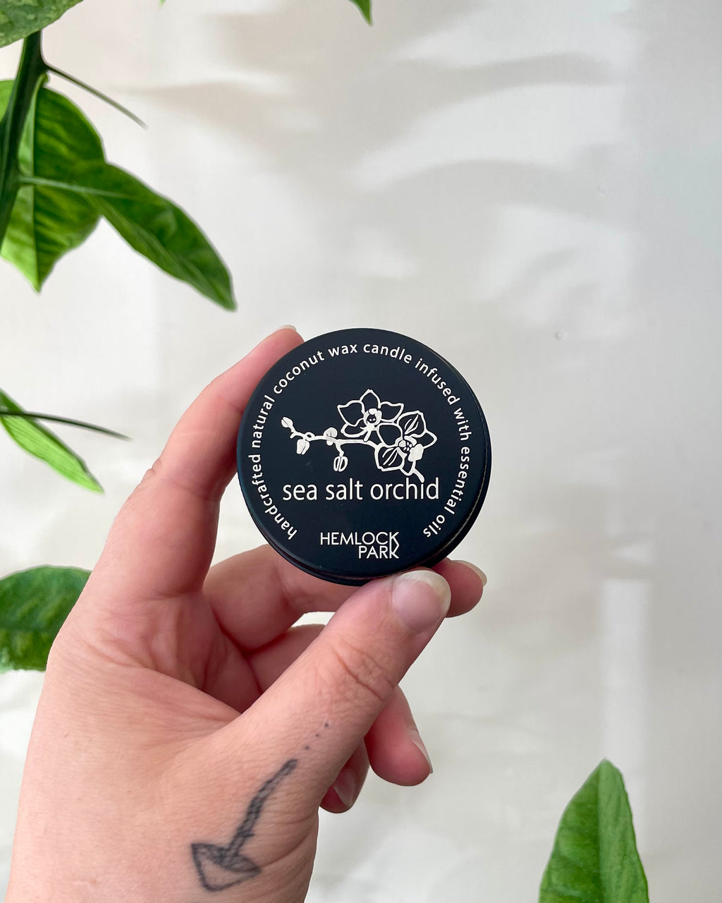 Hand holding a black candle container labeled 'sea salt orchid' with green leaves in the background