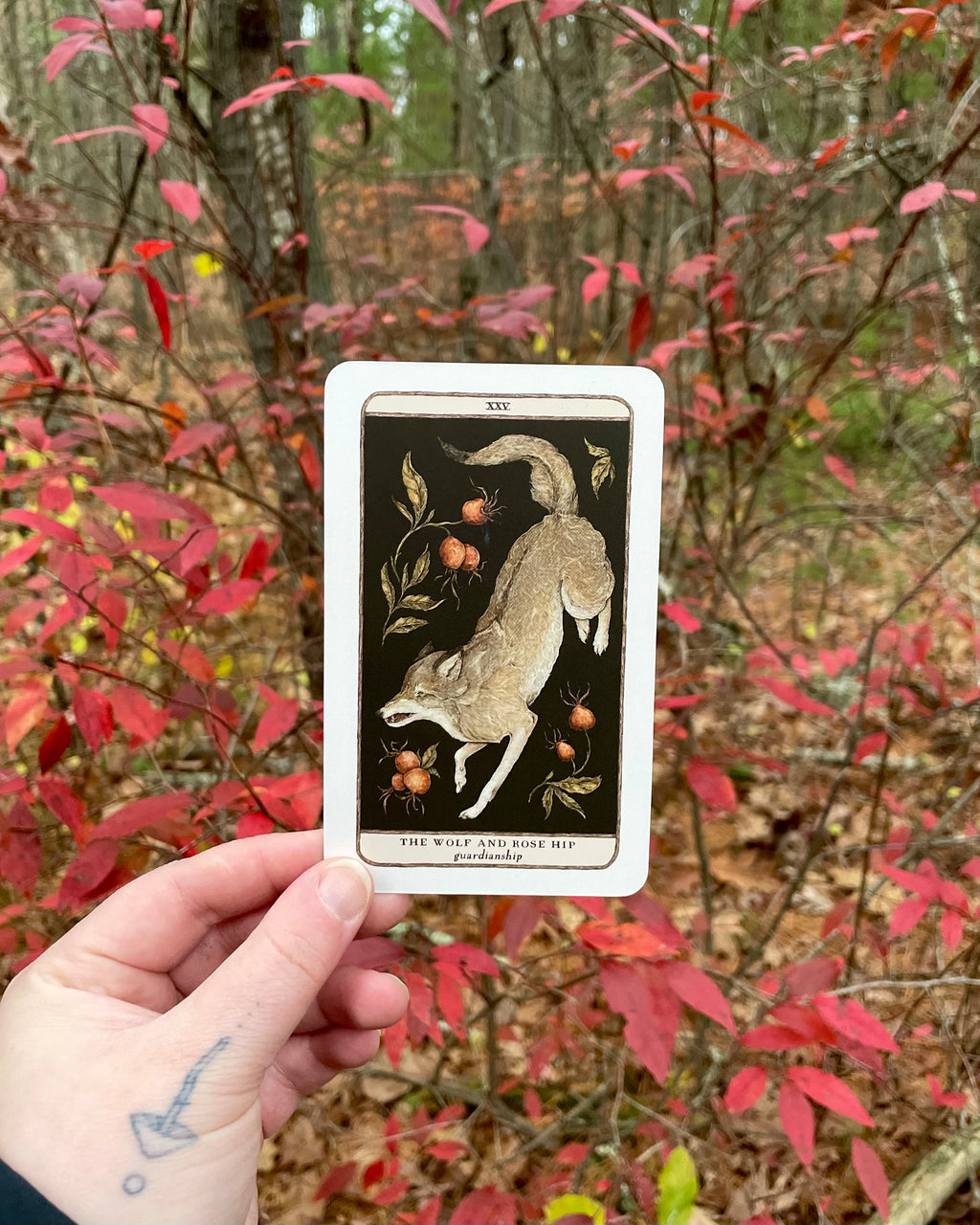 Woodland Wardens by Jessica Roux