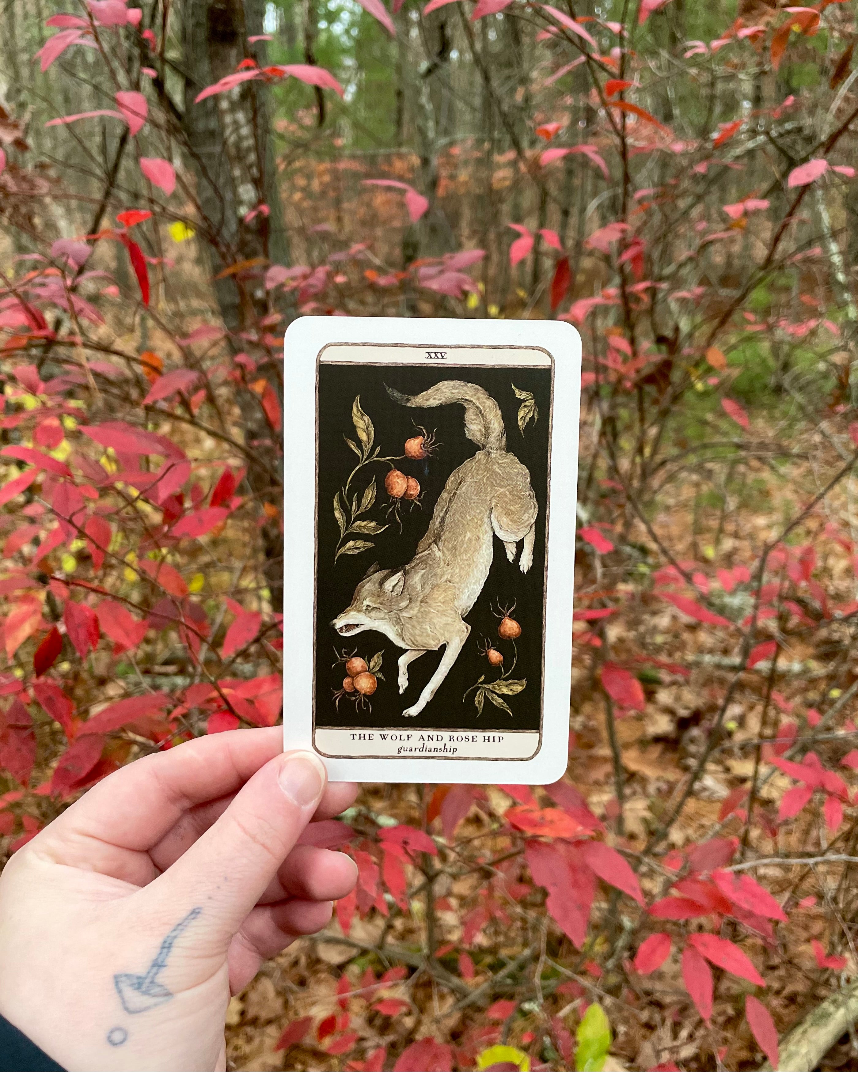 Woodland Wardens by Jessica Roux