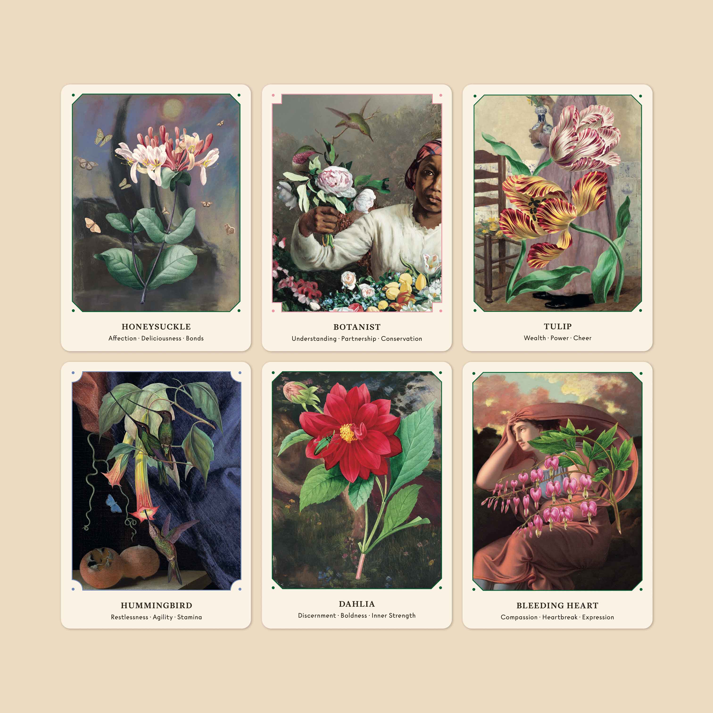 Set of six botanical-themed cards with illustrations and text on a beige background