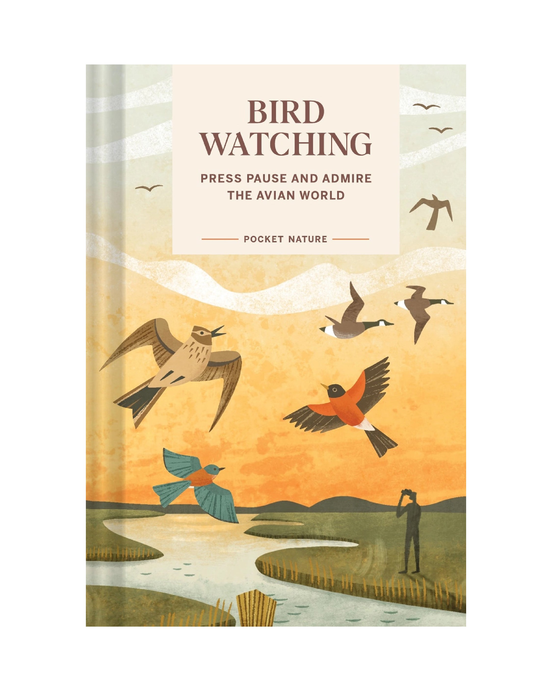 Pocket Nature: Bird-Watching