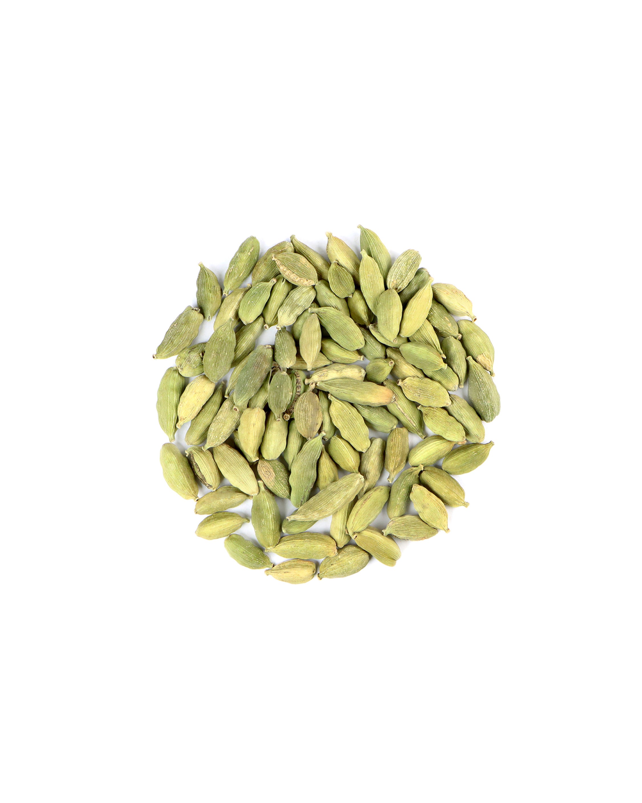 Green cardamom pods on a white background