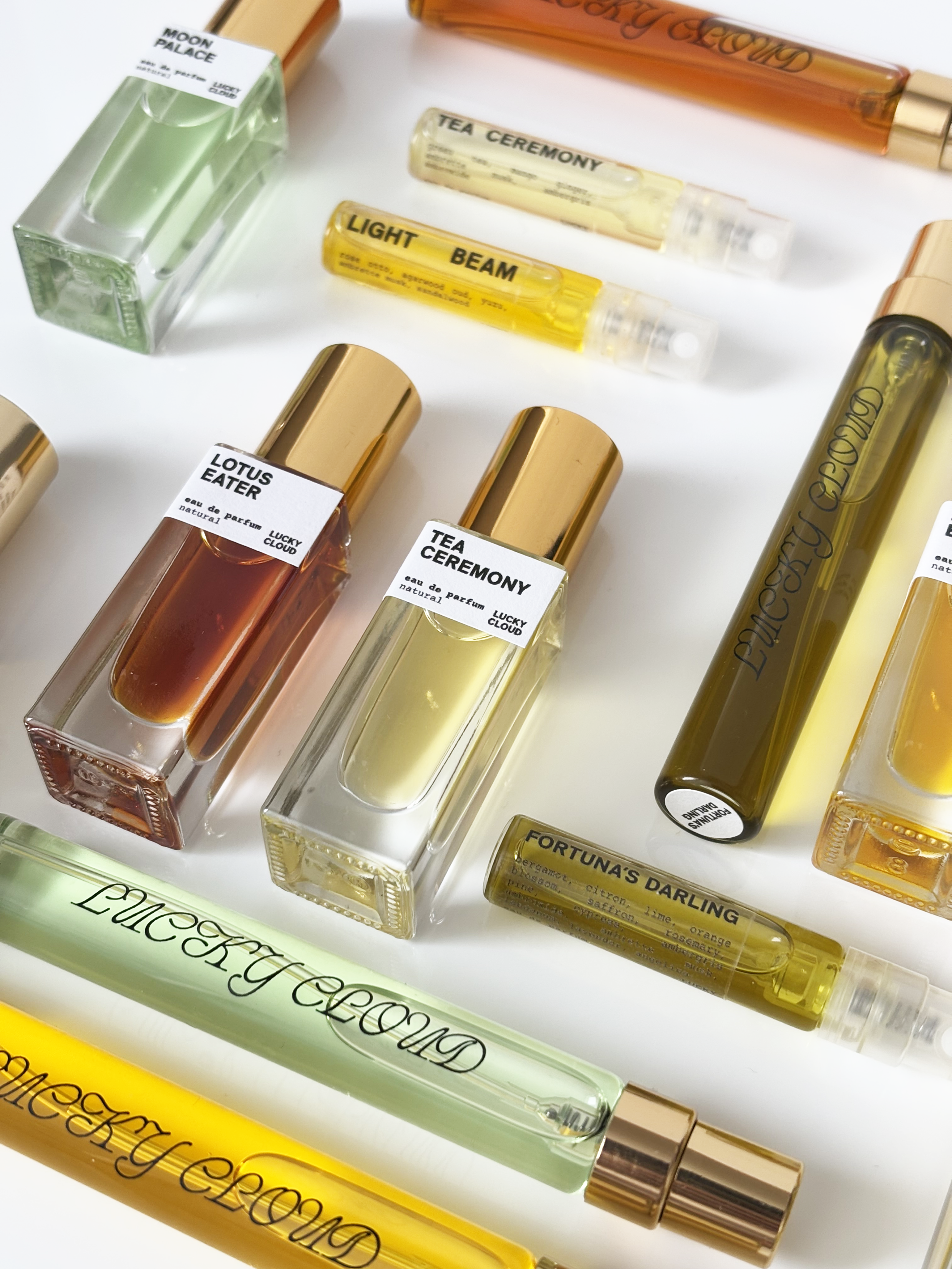 Collection of perfume bottles with visible labels on a white background