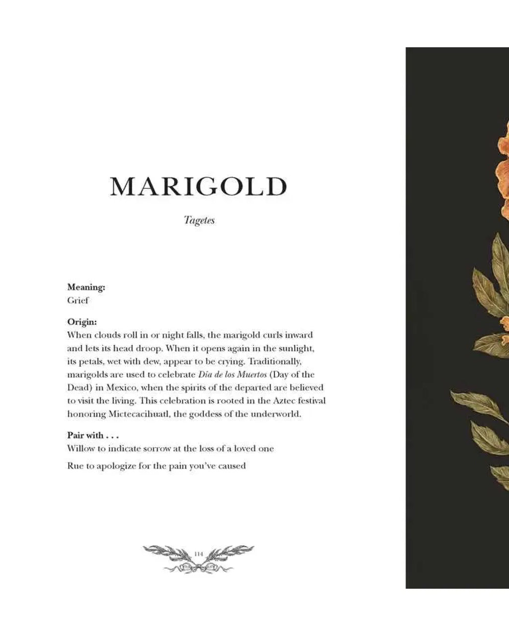 Card with text about the marigold flower on a white background with a black border.