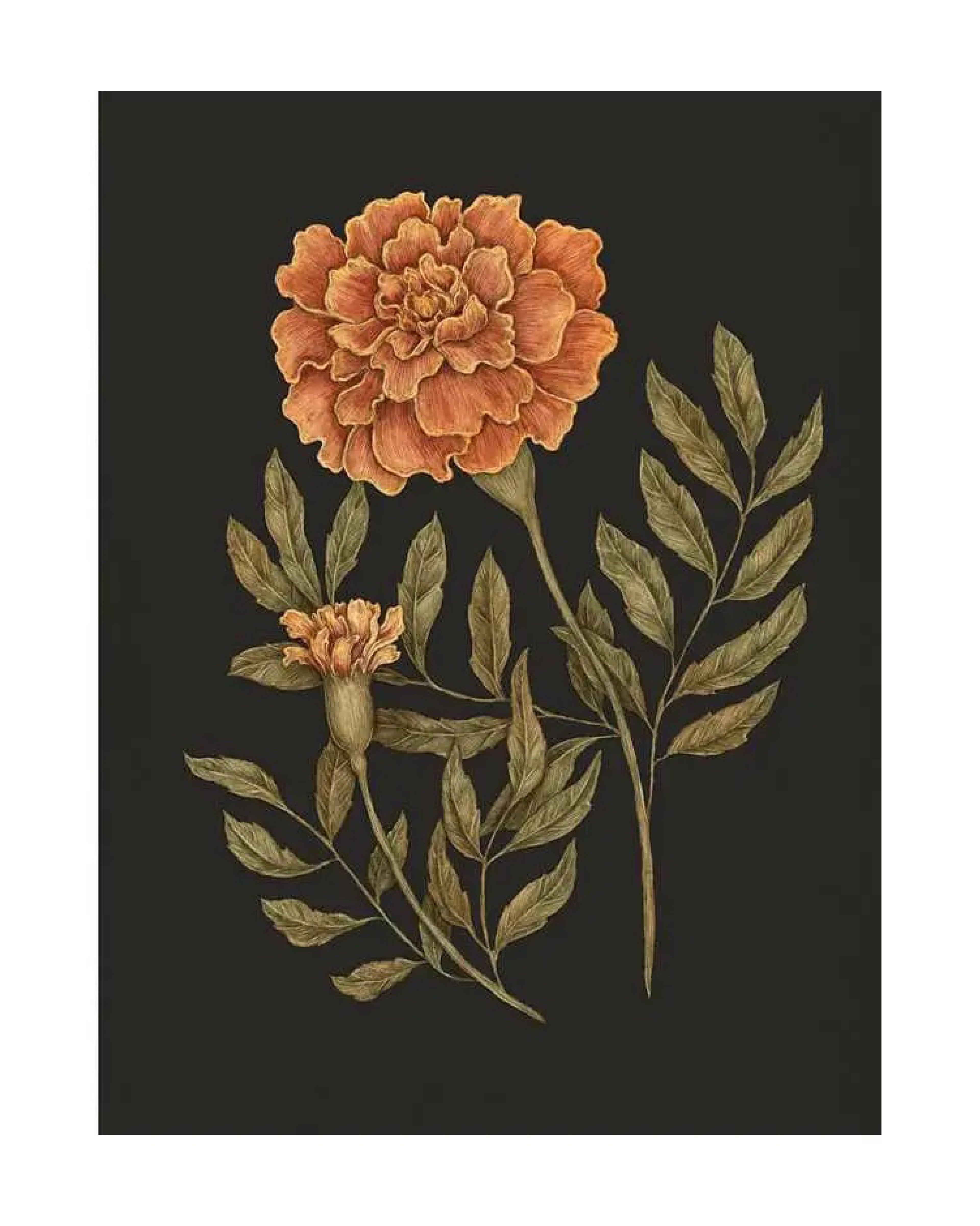 Illustration of an orange flower with green leaves on a black background