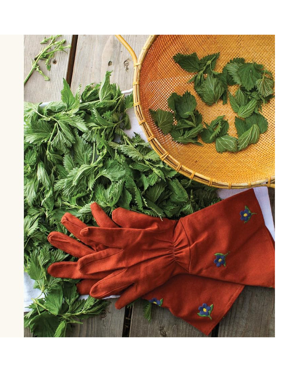 Green leaves on a wooden surface with red gardening gloves and a woven basket.