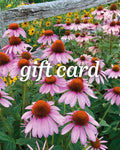 Pink flowers with a wooden fence and 'gift card' text overlay