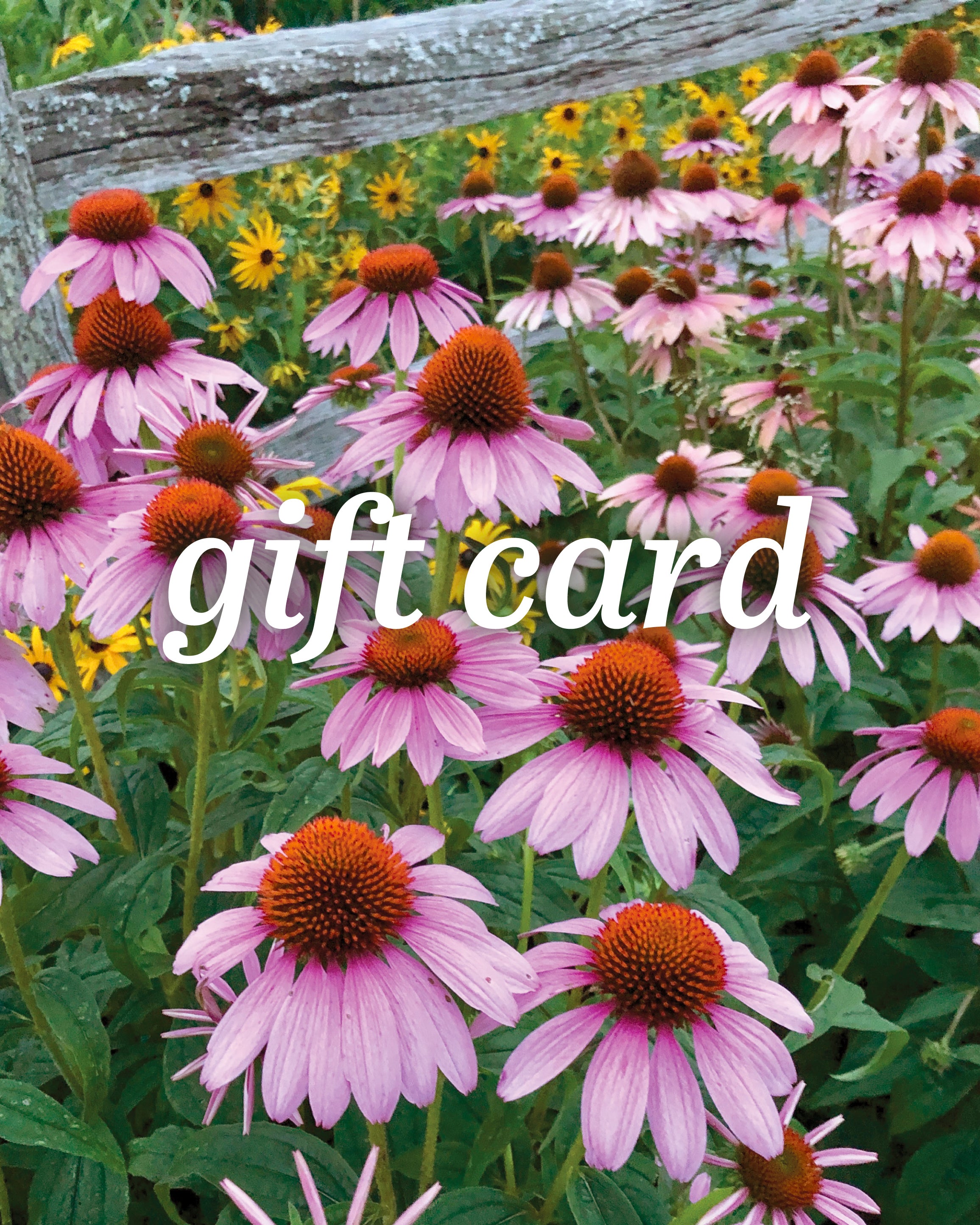Pink flowers with a wooden fence and 'gift card' text overlay