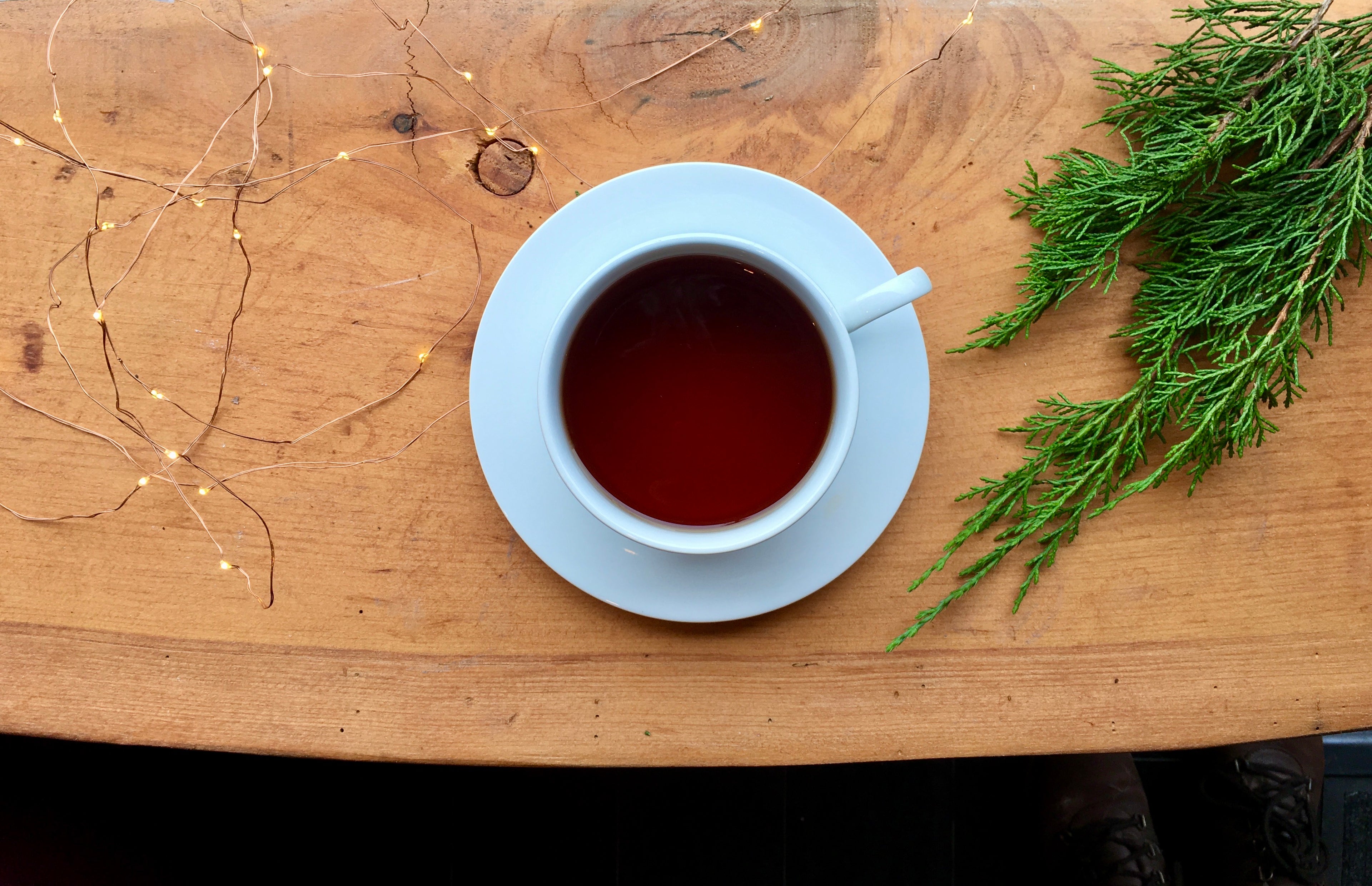 Photo of a white tea cup and saucer filled with tea on a wooden background accompanied by fresh evergreen branches and fairy lights