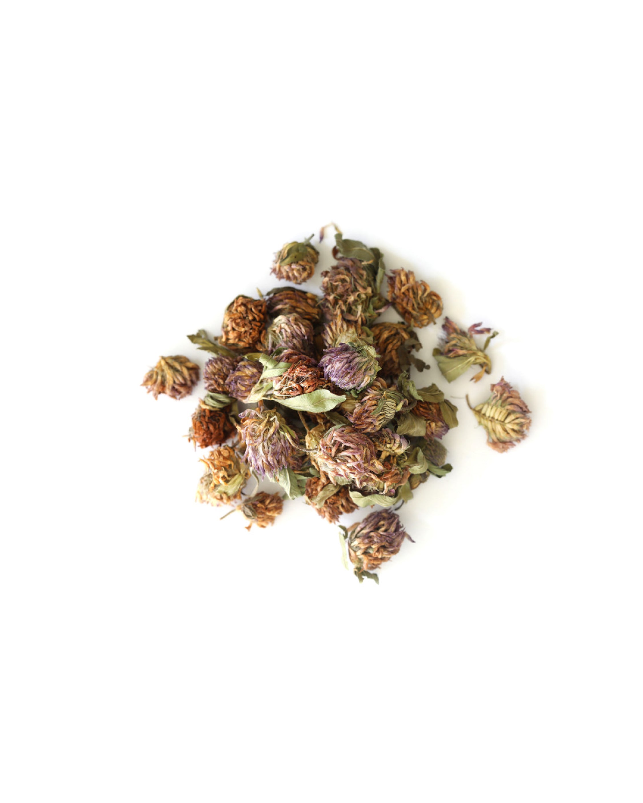 Heap of dried clover flowers on a white background