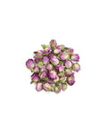 Pile of rose buds on a white background