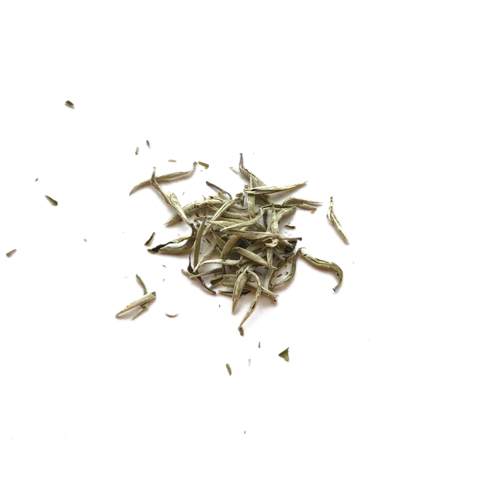 Silver Needle Loose-Leaf White Tea