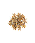 Star anise pods on a white background