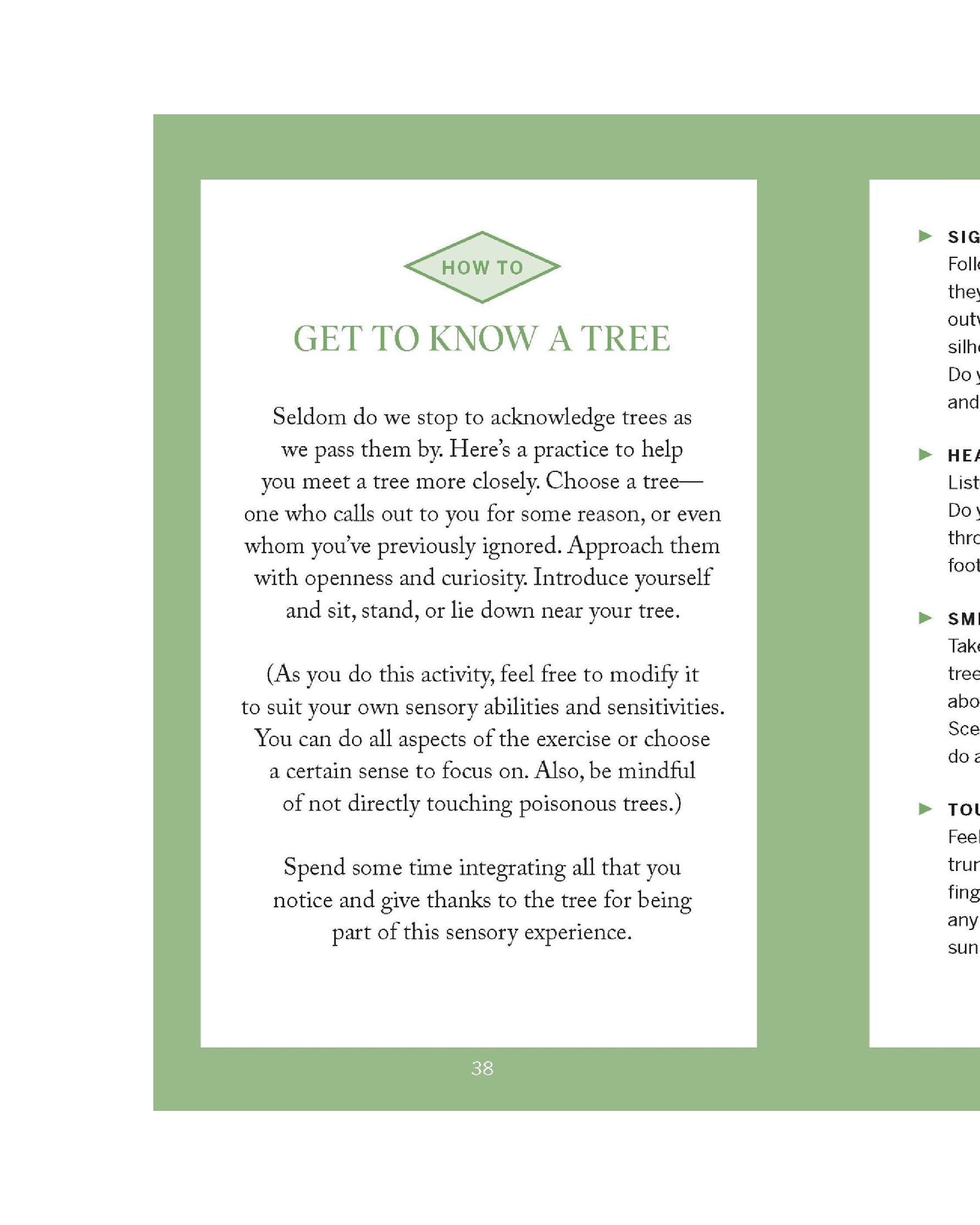 Pocket Nature: Tree Hugging
