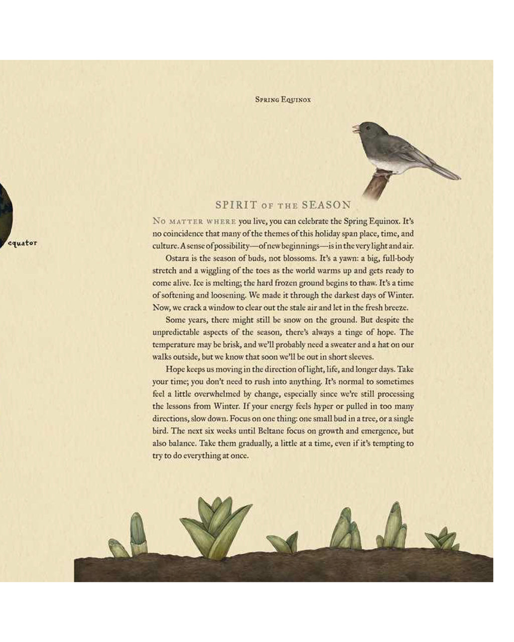 Text on a beige background with a bird illustration and plant graphics.