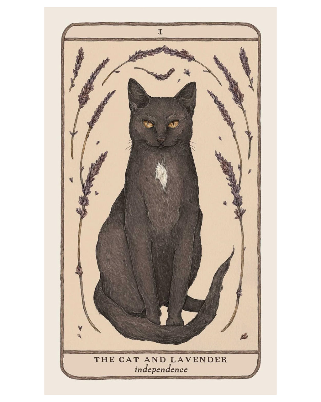 Card featuring a black cat and lavender flowers on a beige background