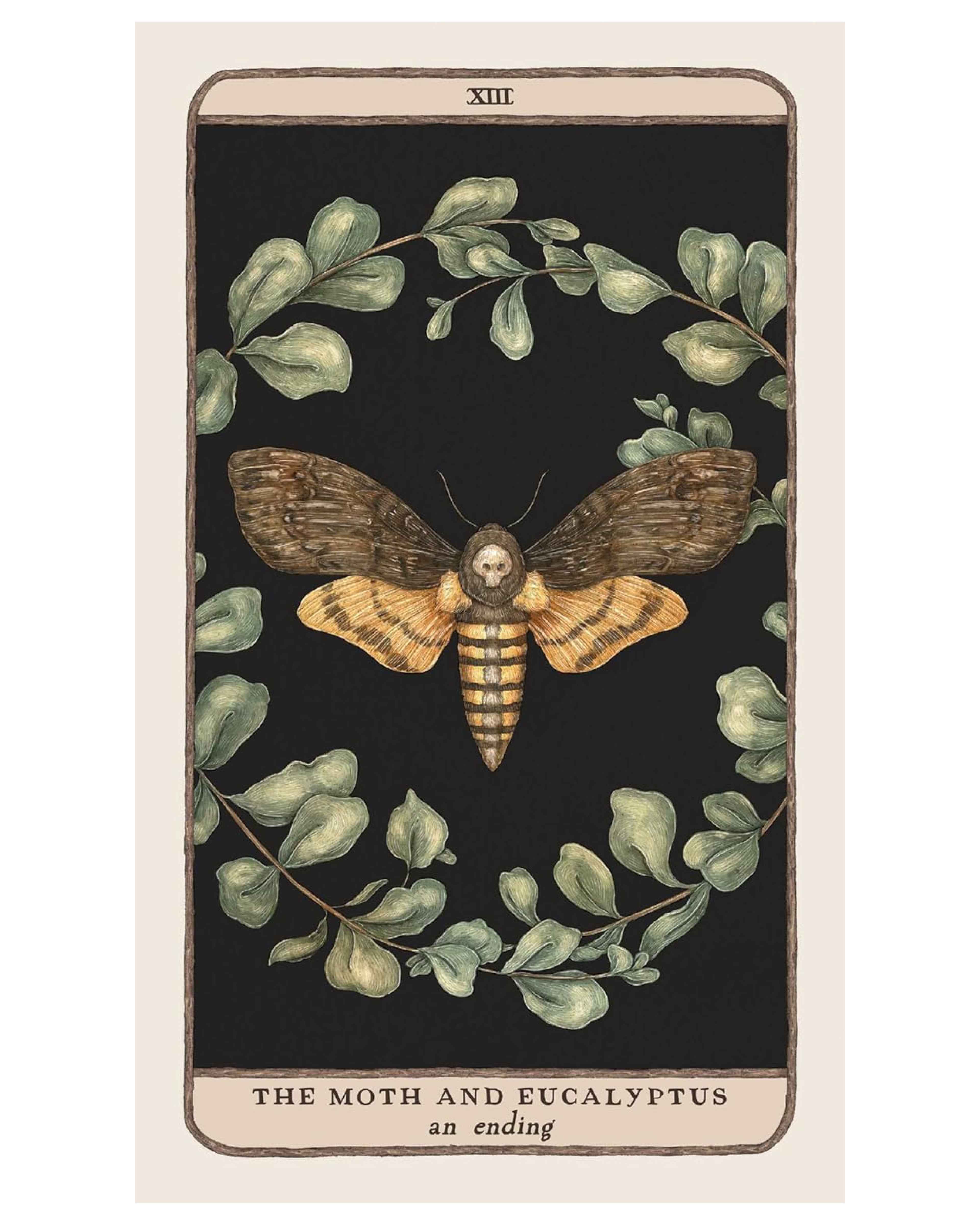 Tarot card featuring a moth and eucalyptus leaves on a black background