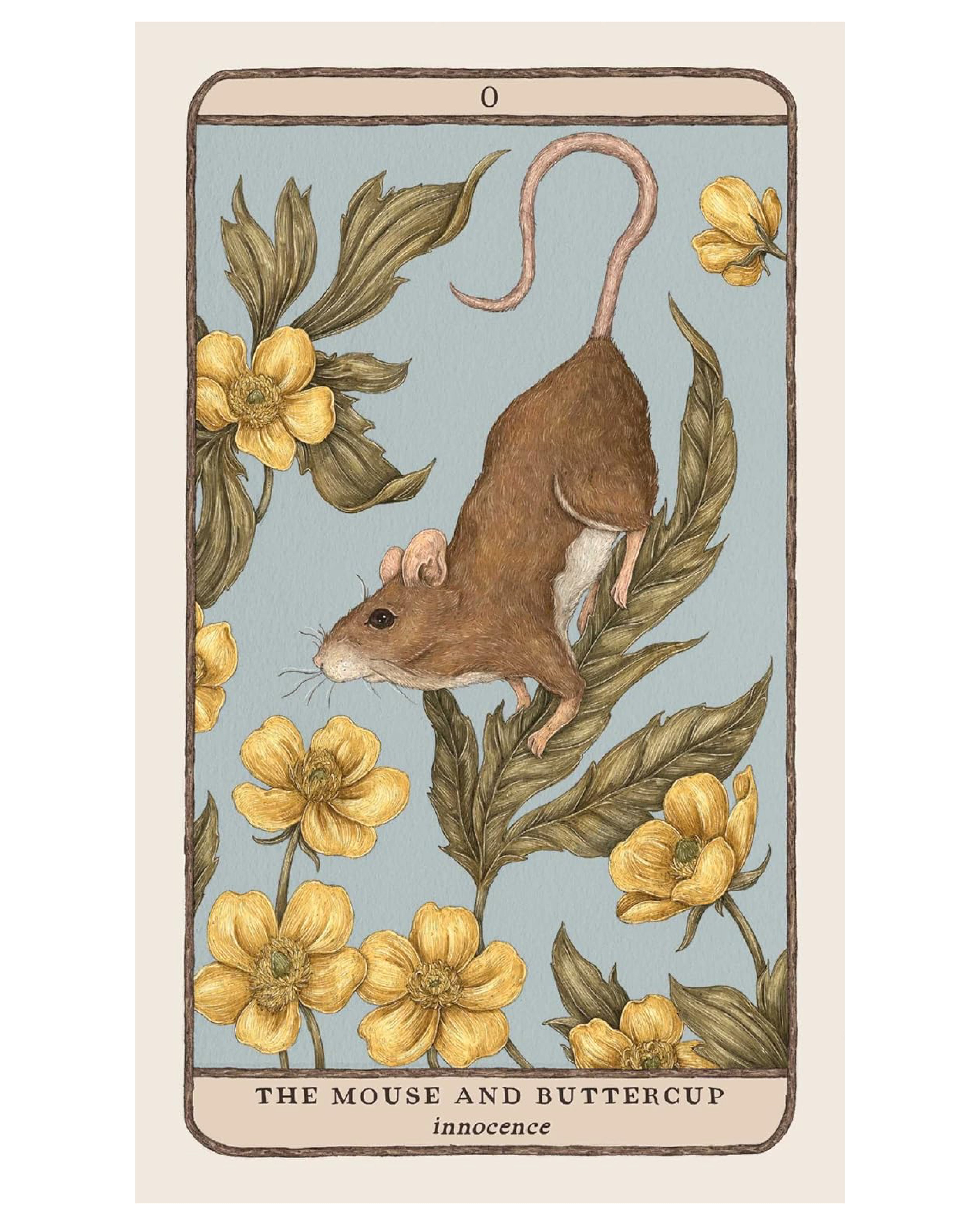 Illustration of a mouse and buttercup flowers on a card with decorative border.